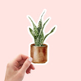 AUTOCOLLANT - PLANTE D'INTÉRIEUR