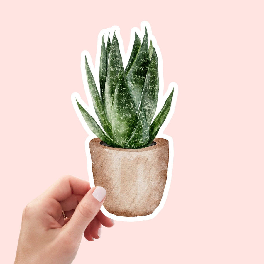 STICKER - INDOOR PLANT