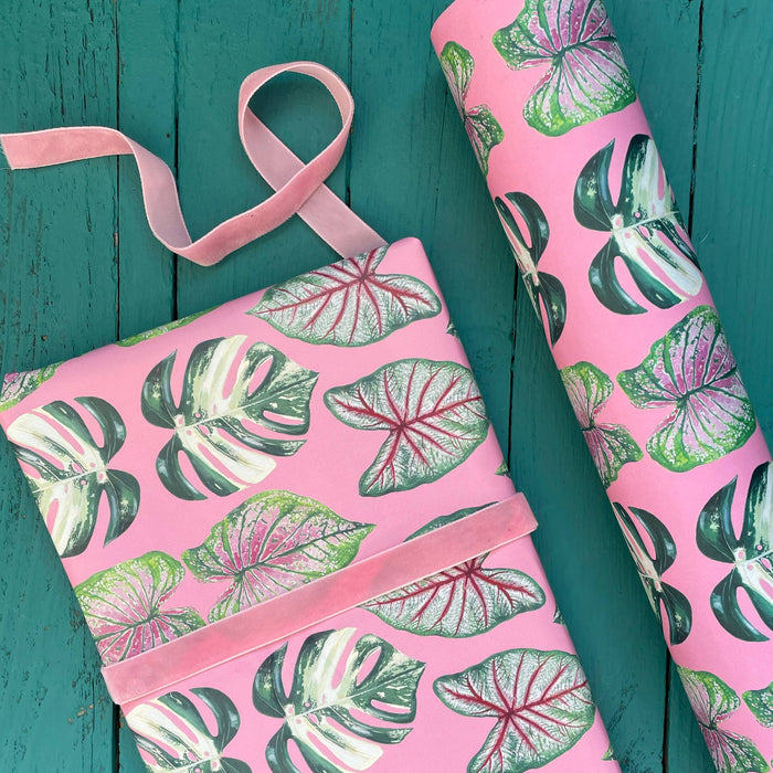 PAPIER CADEAU - BEAUTIFUL HOUSEPLANTS