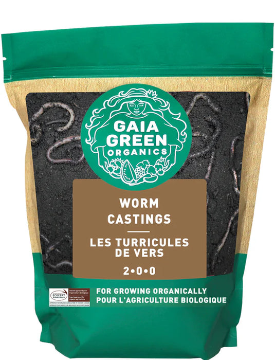 LE TERRICULE - 2-0-0