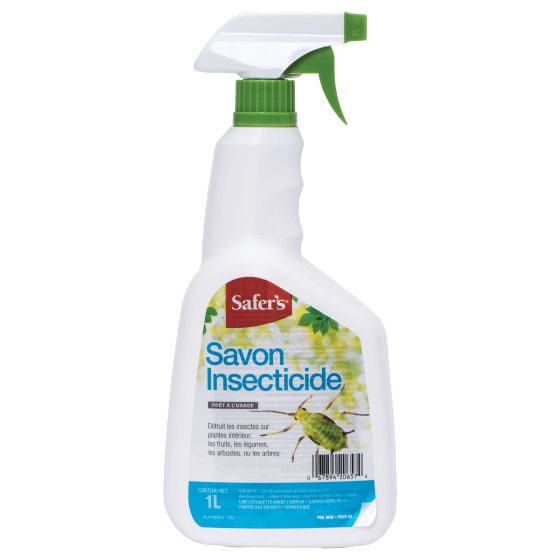 INSECTICIDAL SOAP