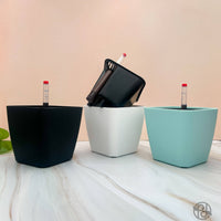 POT AUTO-ARROSANT DE 6 POUCES