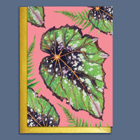 CARTE BEGONIA HOUSEPLANTS