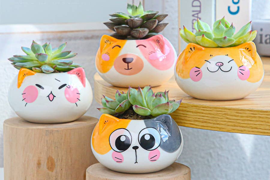PLANTER - ANIMALS