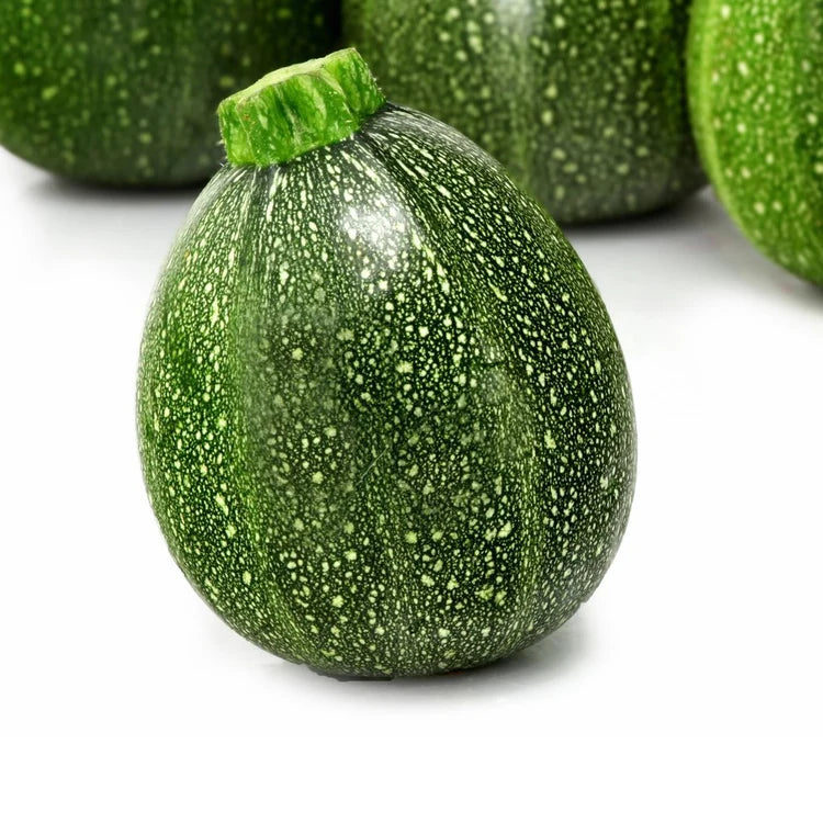 ORGANIC SEEDS: ROUND ZUCCHINI OF NICE
