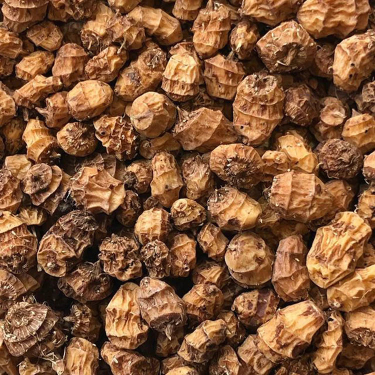 SEMENCES BIOLOGIQUES: SOUCHET COMESTIBLE