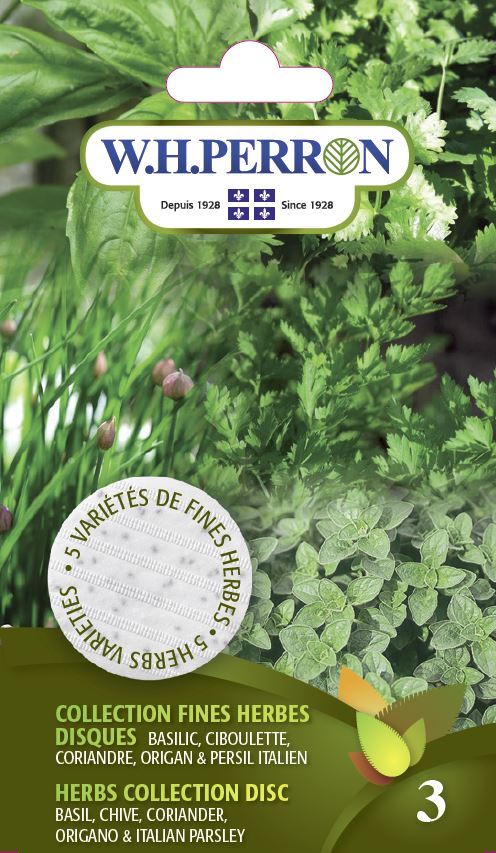 SEMENCES DE FINES HERBES: COLLECTIONS BASILIC DISQUES, CIBOULETTES, CORIANDES, ORIGAN ET PERSIL ITALIEN