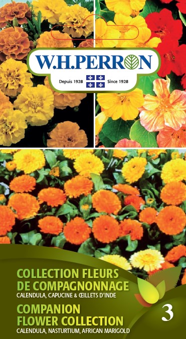 FLOWER SEEDS: COMPANION PLANTING FLOWER COLLECTION