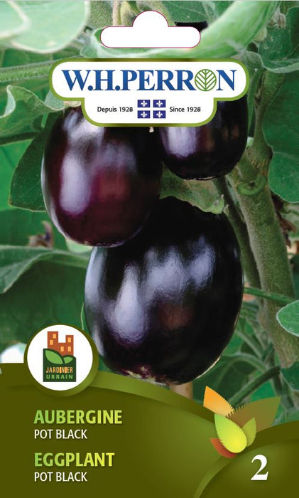 SEMENCES DE LEGUMES: AUBERGINE - POT BLACK