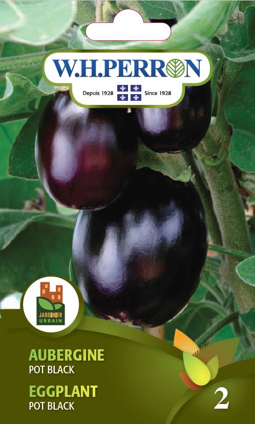 SEMENCES DE LEGUMES: AUBERGINE - POT BLACK