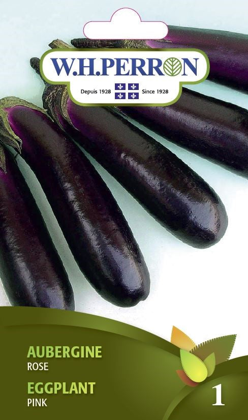 SEMENCES DE LEGUMES: AUBERGINE - CHARMING ROSE