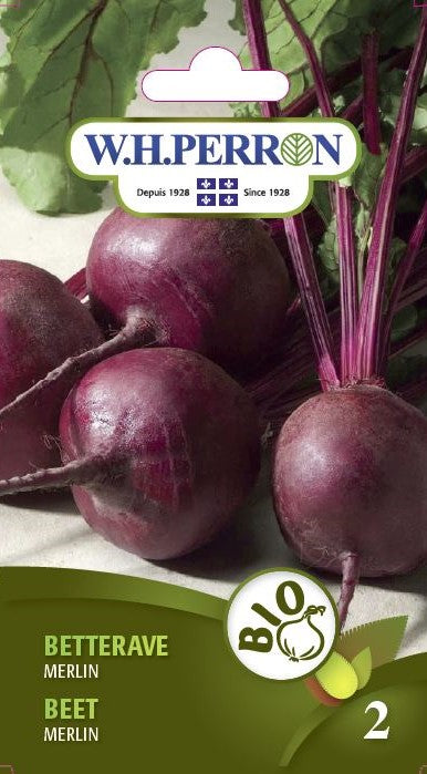 SEMENCES DE LEGUMES BIO: BETTERAVE - MERLIN