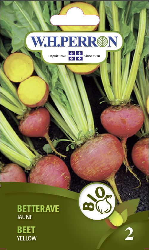 SEMENCES DE LEGUMES BIO: BETTERAVE - JAUNE