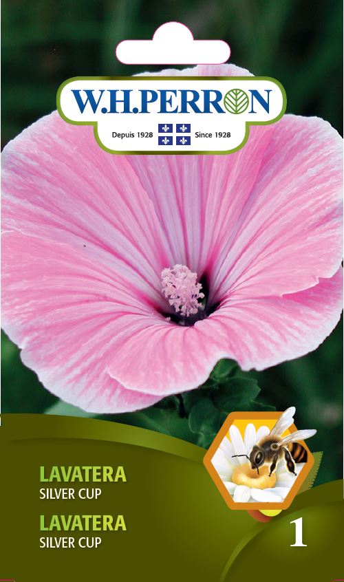 FLOWER SEEDS: LAVATERA - SILVER CUP