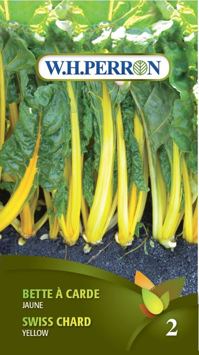 SEMENCES DE LEGUMES: BETTE A CARDE - JAUNE