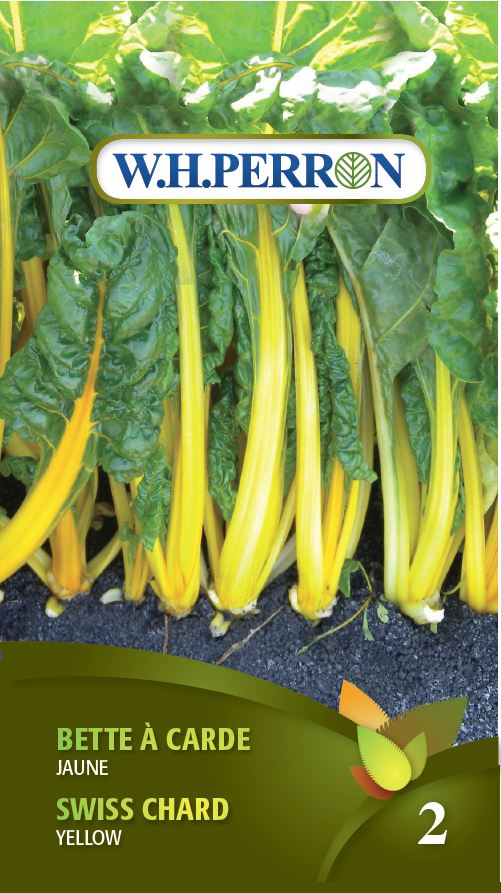 VEGETABLE SEEDS: SWISS CHARD - YELLOW