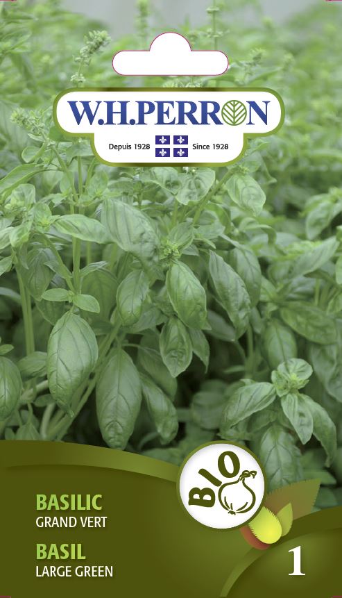 SEMENCES DE FINES HERBES BIO: BASILIC - GRAND VERT