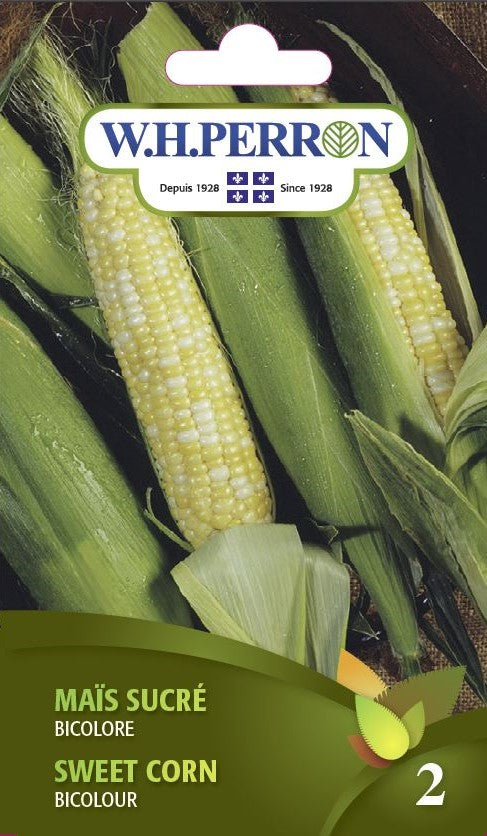 SEMENCES DE LEGUMES: MAIS SUCRÉ - BICOLORE