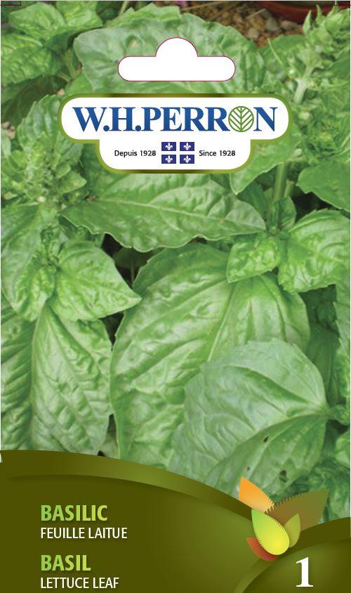 FINE HERB SEEDS: BASIL - LETTUCE LEAF