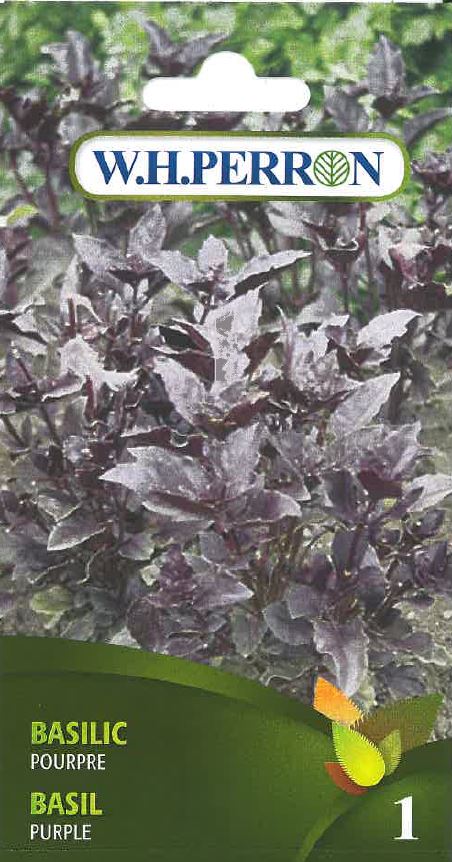 HERB SEEDS: BASIL - PURPLE