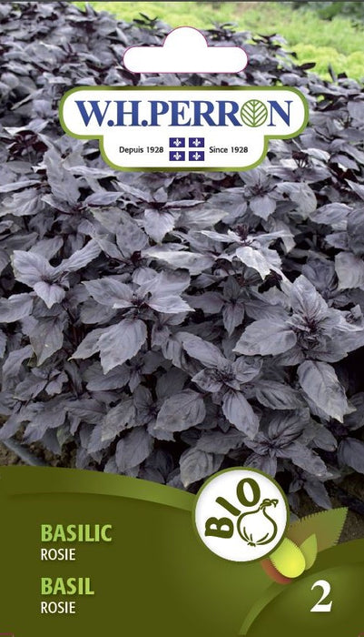 SEMENCES DE FINES HERBES BIO: BASILIC - ROSIE
