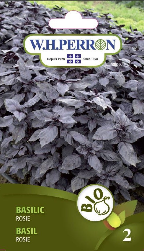 SEMENCES DE FINES HERBES BIO: BASILIC - ROSIE