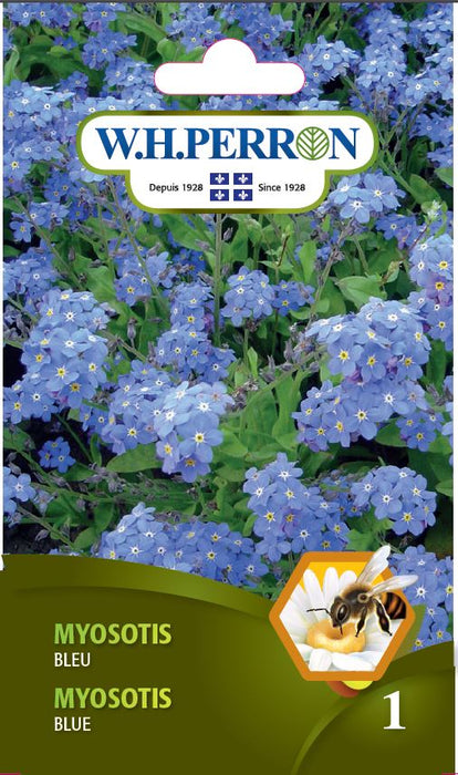 SEMENCES DE FLEURS: MYOSOTIS - BLEU