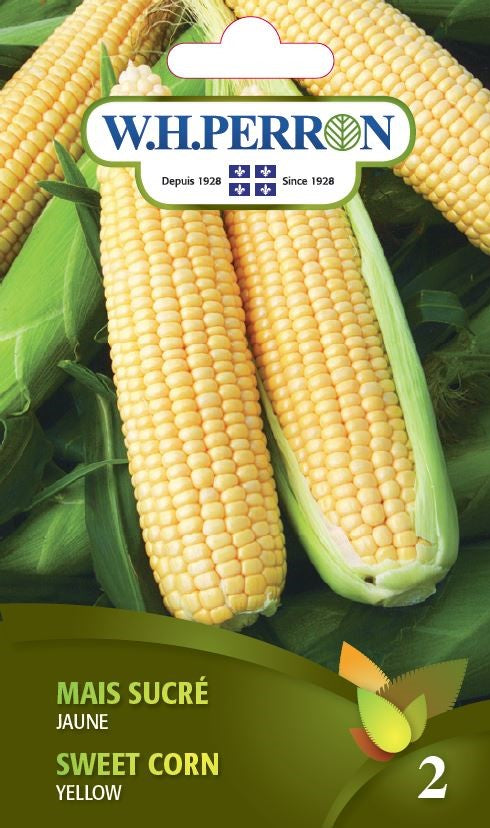 SEMENCES DE LEGUMES: MAIS SUCRÉ - JAUNE