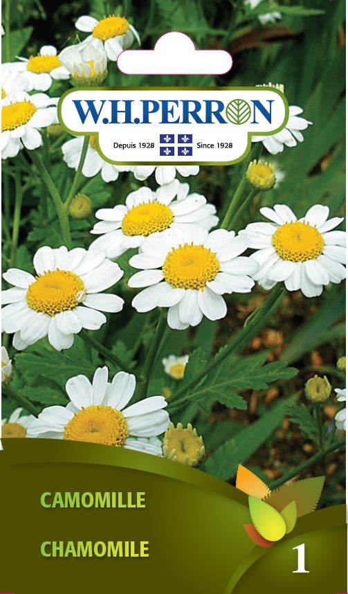 HERB SEEDS: CHAMOMILE