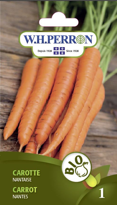 SEMENCES DE LEGUMES BIO: CAROTTE - NANTAISE