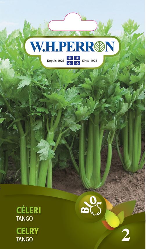 SEMENCES DE LEGUMES BIO: CELERI - TANGO