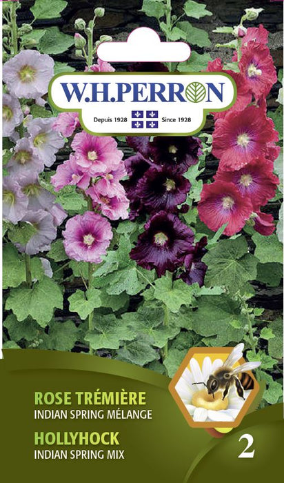 SEMENCES DE FLEURS: ROSE TRÉMIERE I- NDIAN SPRING MELANGE