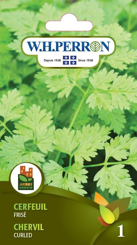 HERB SEEDS: CHERVIL - CURLED