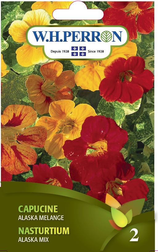 FLOWER SEEDS: NASTURTIUM - ALASKA MIX