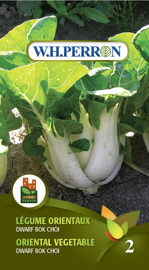 VEGETABLE SEEDS: ORIENTAL VEGETABLES - BOK CHOY