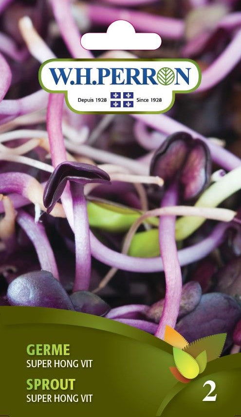 SPROUT SEEDS: SUPER HONG VIT
