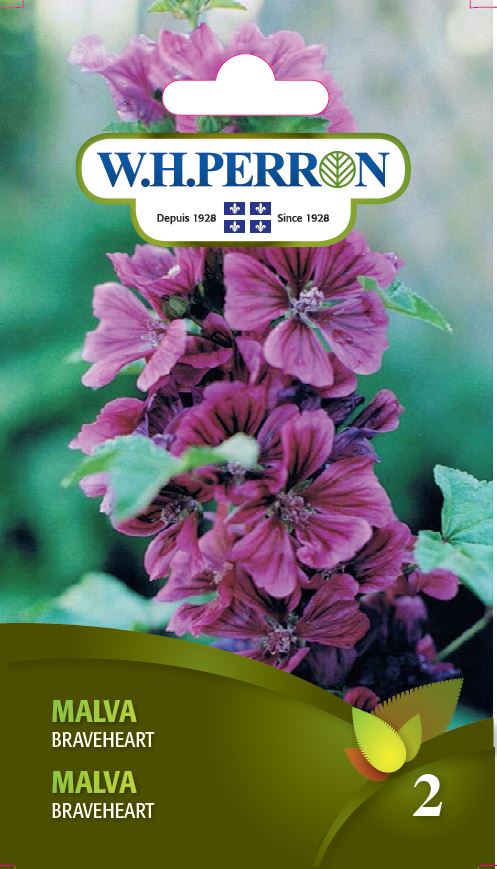 FLOWER SEEDS: MALVA - BRAVEHEART