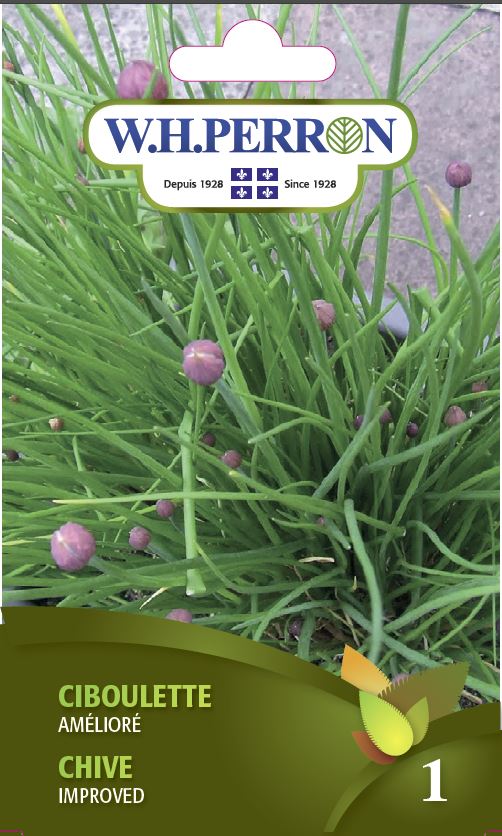 FINE HERB SEEDS: CHIVES - IMPROVED