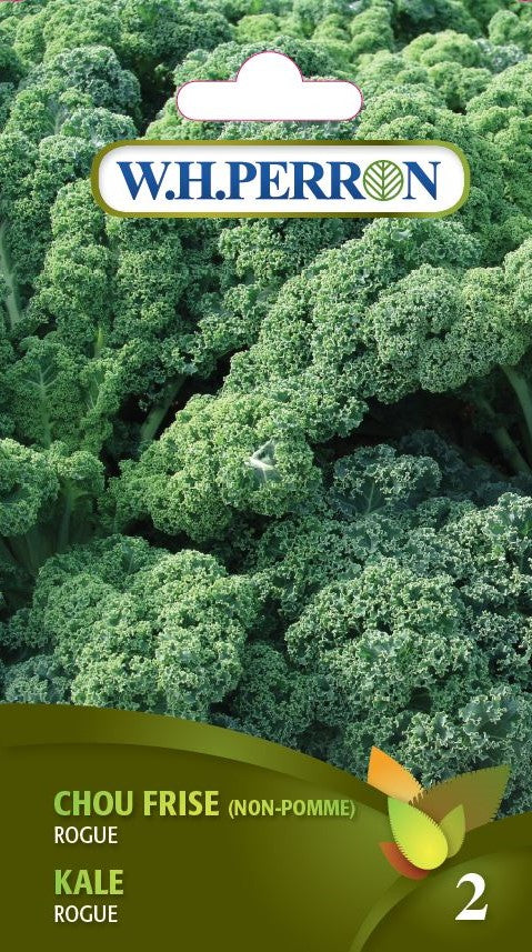 VEGETABLE SEEDS: KALE ROGUE