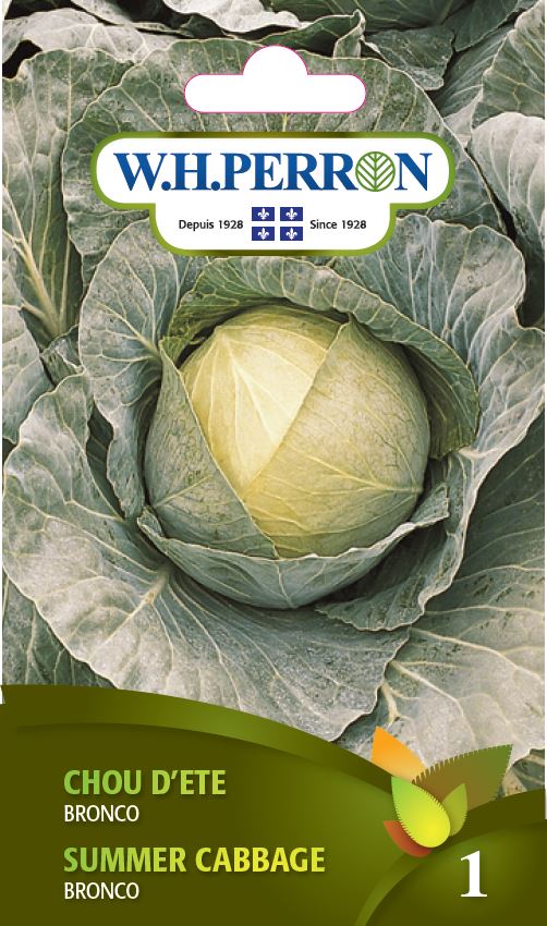 SEMENCES DE LEGUMES: CHOU D'ÉTÉ - BRONCO