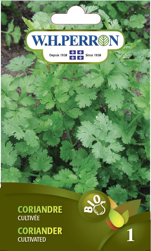 ORGANIC HERB SEEDS: CORIANDER - CULTIVATED