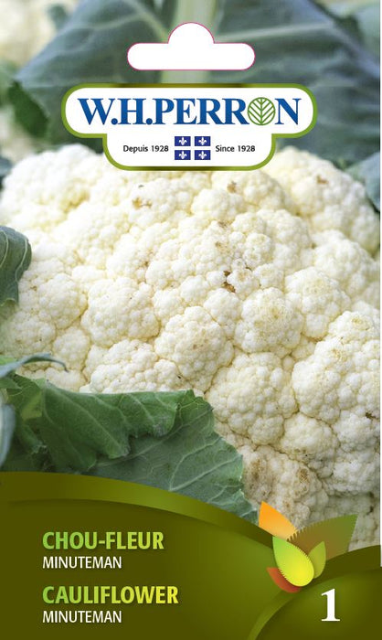 SEMENCES DE LEGUMES: CHOU-FLEUR - MINUTEMAN