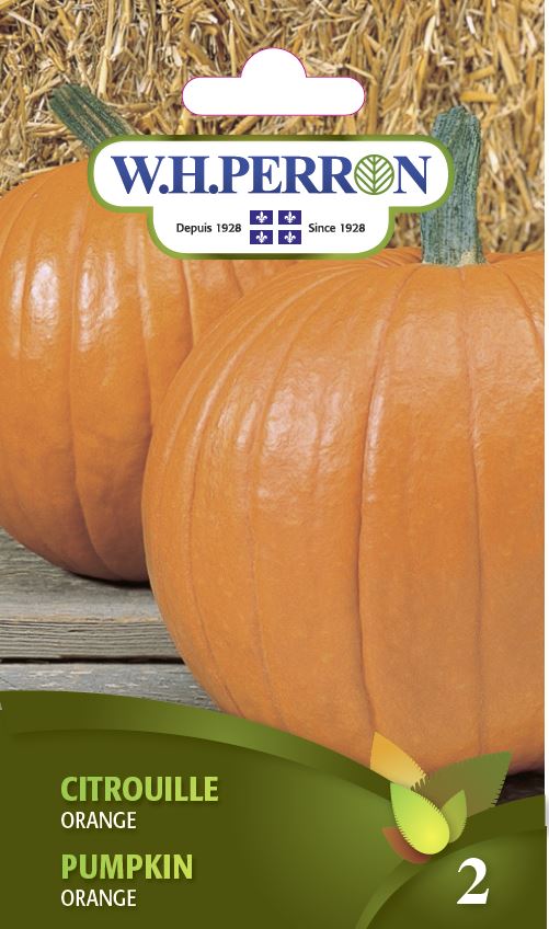 SEMENCES DE LEGUMES: CITROUILLE - ORANGE