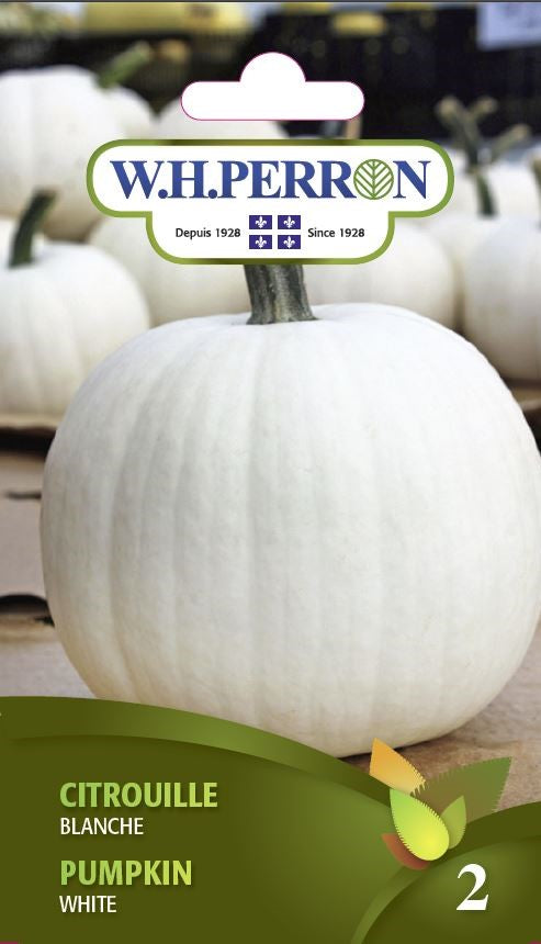 SEMENCES DE LEGUMES: CITROUILLE - BLANCHE