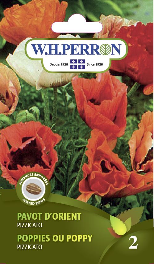 FLOWER SEEDS: ORIENTAL POPPY - PIZZICATO