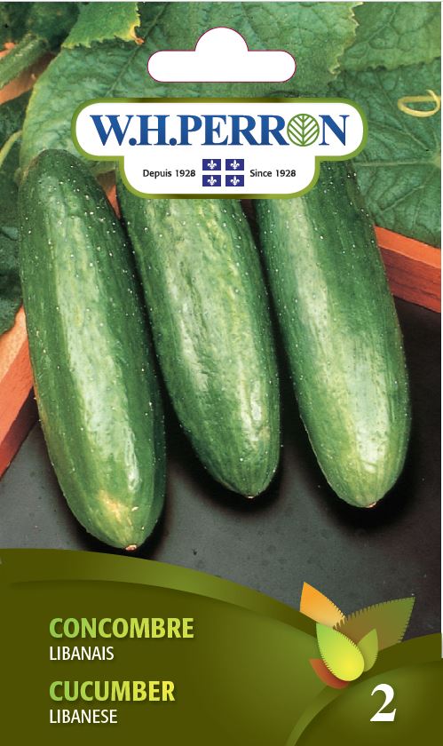 SEMENCES DE LEGUMES: CONCOMBRE - LIBANAIS
