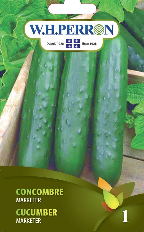 SEMENCES DE LEGUMES: CONCOMBRE - MARKETER