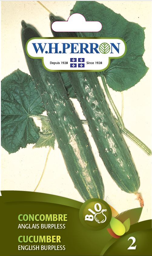 ORGANIC VEGETABLE SEEDS: CUCUMBER - ENGLISH BURPLESS