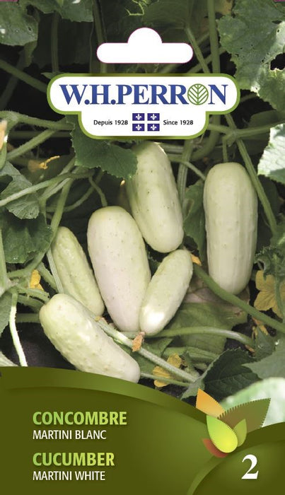 SEMENCES DE LEGUMES: CONCOMBRE - MARTINI BLANC