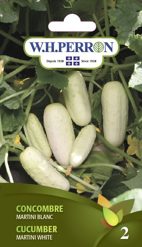 SEMENCES DE LEGUMES: CONCOMBRE - MARTINI BLANC